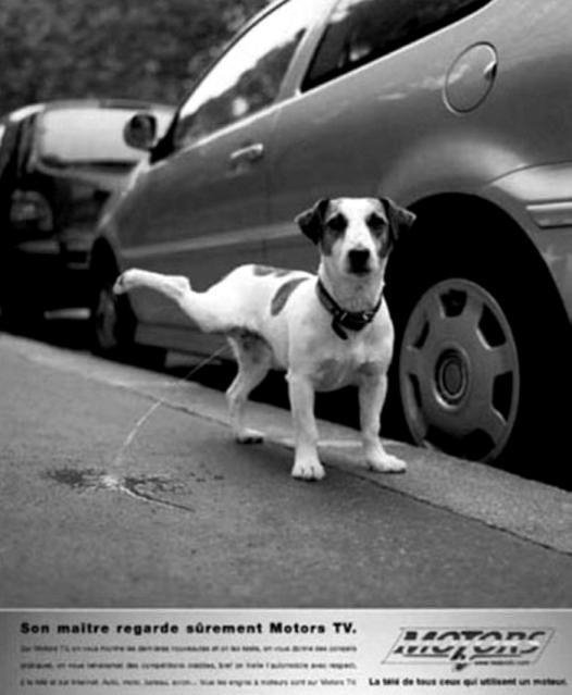 Иллюстрация к книге — Зависть и другие вечные двигатели рекламы [_135.jpg]