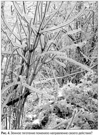 Иллюстрация к книге — Не может быть. Парадоксы в рекламе, бизнесе и жизни [i_007.jpg]