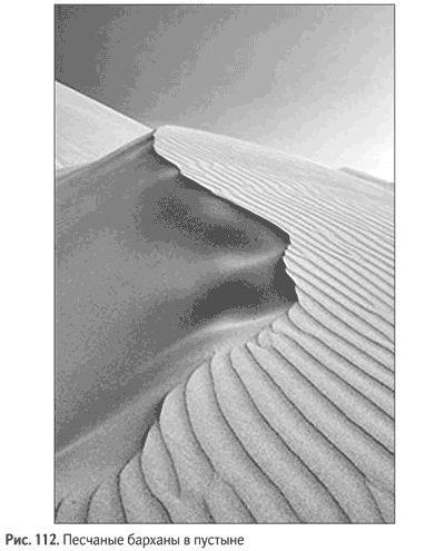 Иллюстрация к книге — Не может быть. Парадоксы в рекламе, бизнесе и жизни [i_127.jpg]