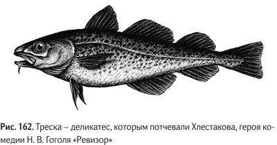 Иллюстрация к книге — Не может быть. Парадоксы в рекламе, бизнесе и жизни [i_193.jpg]