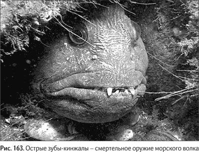 Иллюстрация к книге — Не может быть. Парадоксы в рекламе, бизнесе и жизни [i_194.jpg]