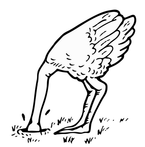 Иллюстрация к книге — Страх в рекламе. Как побудить клиентов к покупке [i_002.jpg]