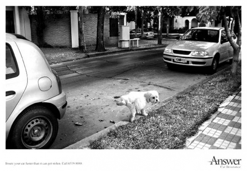 Иллюстрация к книге — Страх в рекламе. Как побудить клиентов к покупке [i_014.jpg]