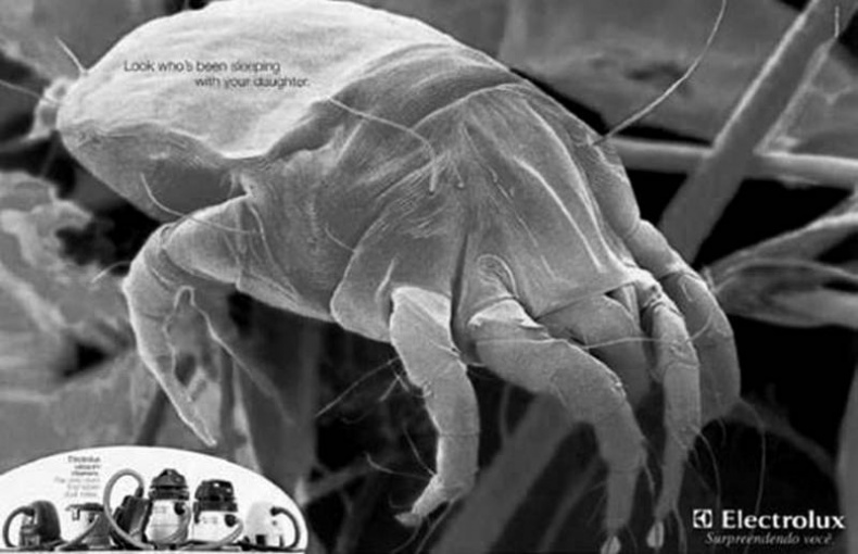 Иллюстрация к книге — Страх в рекламе. Как побудить клиентов к покупке [i_027.jpg]