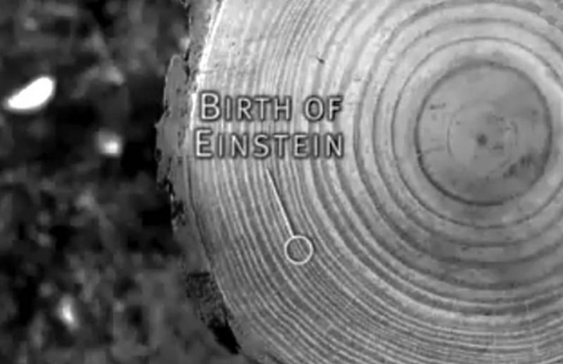 Иллюстрация к книге — Чувство вины в рекламе. Как побудить клиентов к покупке [i_006.jpg]