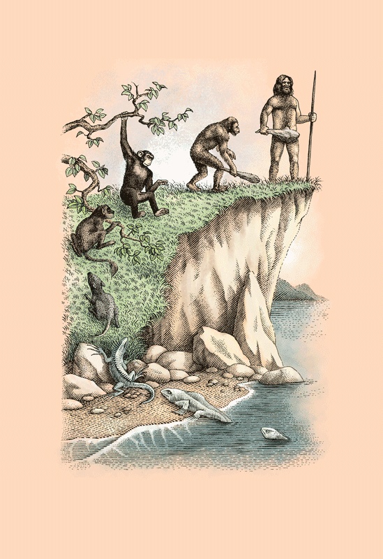 Иллюстрация к книге — Счастливый клевер человечества. Всеобщая история открытий, технологий, конкуренции и богатства [i_007.jpg]