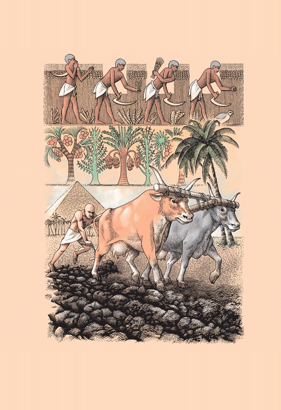 Иллюстрация к книге — Счастливый клевер человечества. Всеобщая история открытий, технологий, конкуренции и богатства [i_013.jpg]