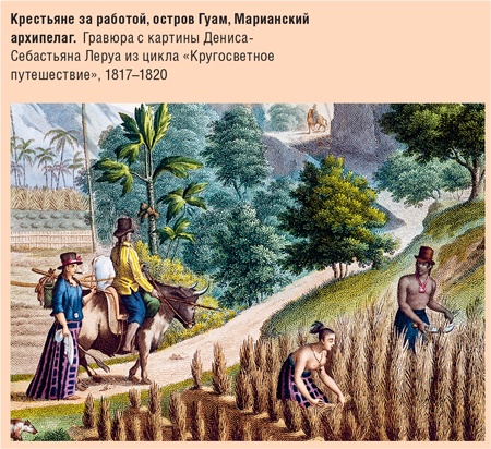 Иллюстрация к книге — Счастливый клевер человечества. Всеобщая история открытий, технологий, конкуренции и богатства [i_015.jpg]