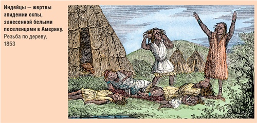 Иллюстрация к книге — Счастливый клевер человечества. Всеобщая история открытий, технологий, конкуренции и богатства [i_053.jpg]