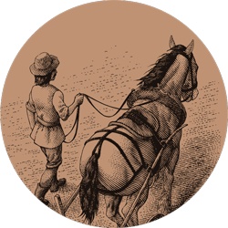 Иллюстрация к книге — Счастливый клевер человечества. Всеобщая история открытий, технологий, конкуренции и богатства [i_056.jpg]