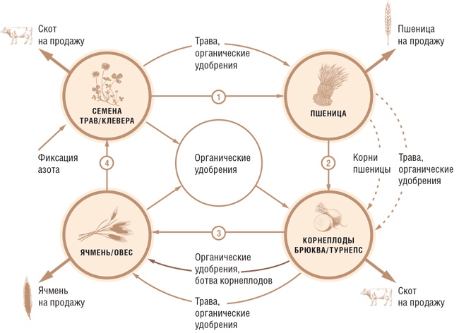 Иллюстрация к книге — Счастливый клевер человечества. Всеобщая история открытий, технологий, конкуренции и богатства [i_057.jpg]