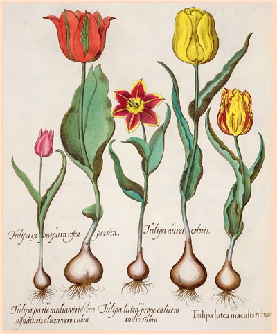 Иллюстрация к книге — Счастливый клевер человечества. Всеобщая история открытий, технологий, конкуренции и богатства [i_122.jpg]