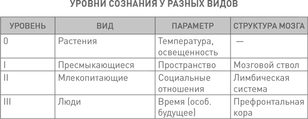 Иллюстрация к книге — Будущее разума [i_007.jpg]