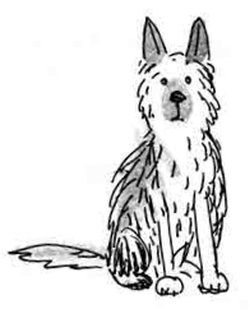 Иллюстрация к книге — Армас. Зона надежды [i_012.jpg]