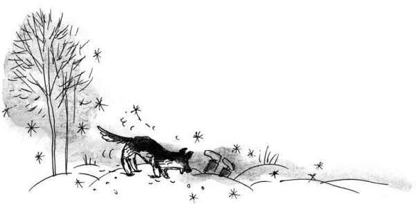 Иллюстрация к книге — Армас. Зона надежды [i_013.jpg]