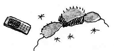 Иллюстрация к книге — Армас. Зона надежды [i_017.jpg]