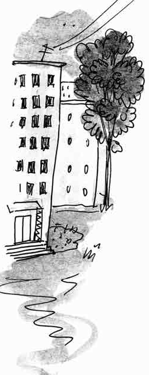 Иллюстрация к книге — Армас. Зона надежды [i_018.jpg]