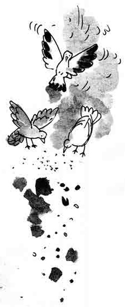 Иллюстрация к книге — Армас. Зона надежды [i_020.jpg]