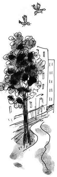 Иллюстрация к книге — Армас. Зона надежды [i_030.jpg]