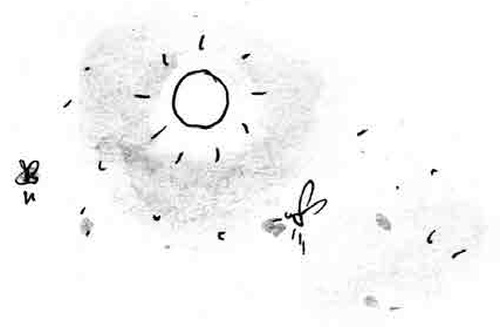 Иллюстрация к книге — Армас. Зона надежды [i_044.jpg]