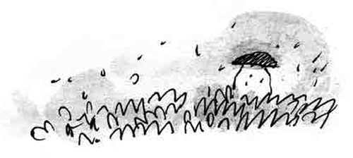 Иллюстрация к книге — Армас. Зона надежды [i_045.jpg]