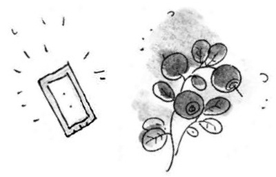 Иллюстрация к книге — Армас. Зона надежды [i_052.jpg]