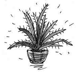 Иллюстрация к книге — Армас. Зона надежды [i_069.jpg]