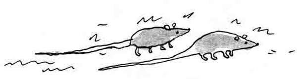 Иллюстрация к книге — Армас. Зона надежды [i_106.jpg]