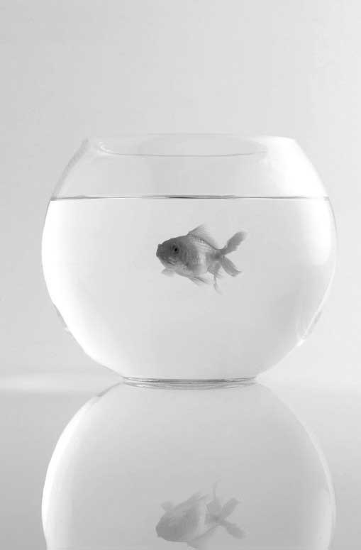 Иллюстрация к книге — Фанки-идеи. Создание инноваций вне зоны комфорта [i_008.jpg]