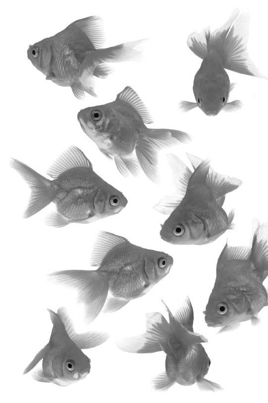 Иллюстрация к книге — Фанки-идеи. Создание инноваций вне зоны комфорта [i_018.jpg]