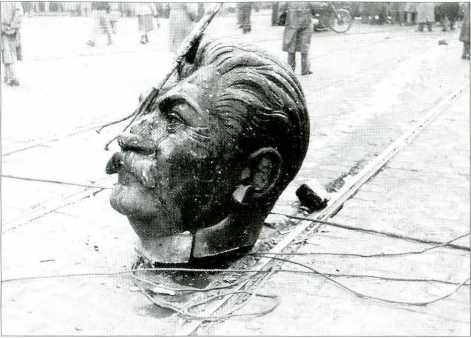 Иллюстрация к книге — 1956. Венгрия глазами очевидца [i_019.jpg]