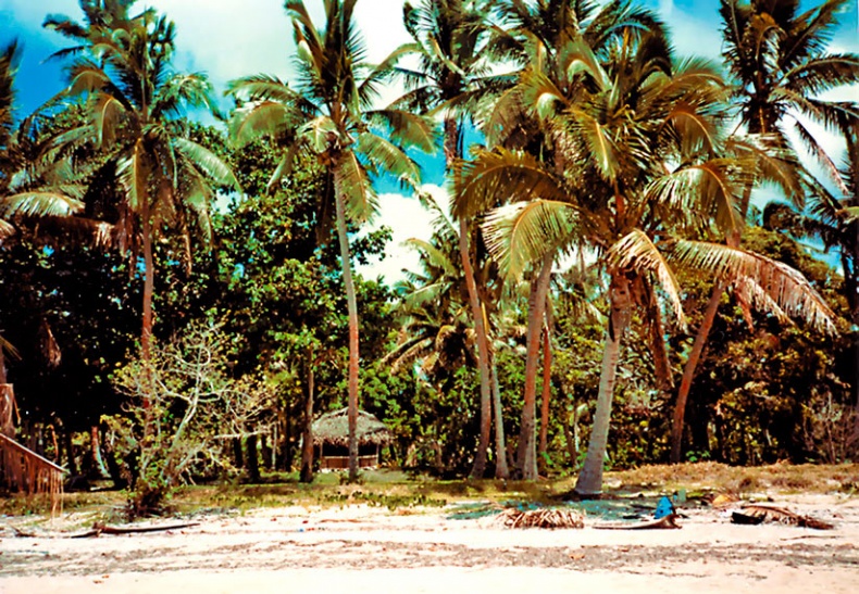 Иллюстрация к книге — Работа в процессе [i_012.jpg]