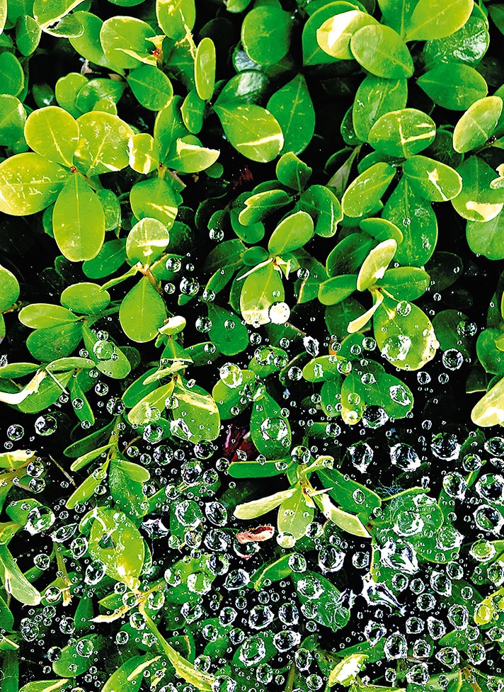 Иллюстрация к книге — Работа в процессе [i_036.jpg]