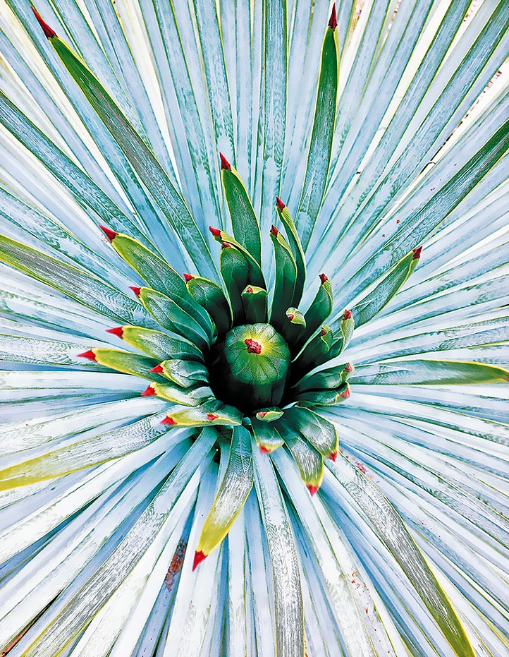 Иллюстрация к книге — Работа в процессе [i_056.jpg]