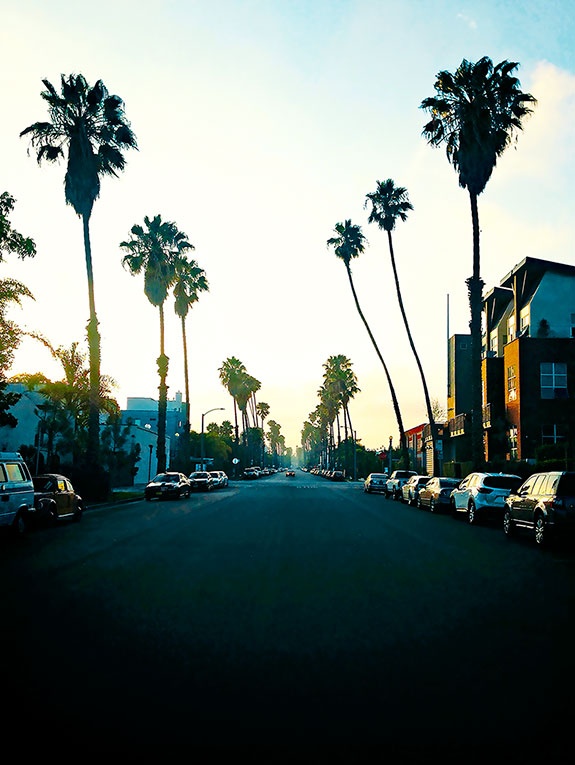 Иллюстрация к книге — Работа в процессе [i_086.jpg]