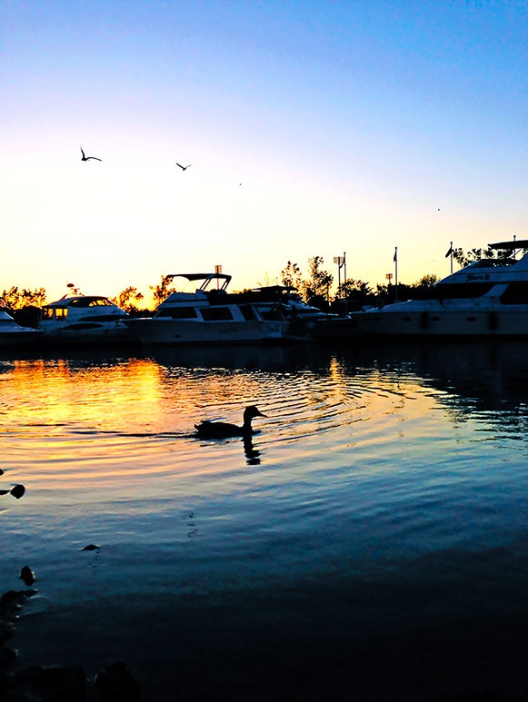 Иллюстрация к книге — Работа в процессе [i_094.jpg]