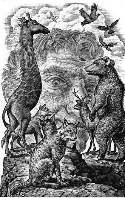 Иллюстрация к книге — Сказки о странных [pic_11.jpg]