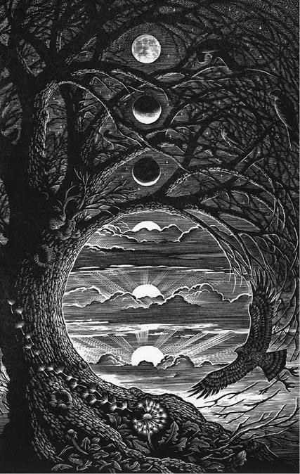 Иллюстрация к книге — Сказки о странных [pic_4.jpg]