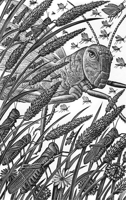 Иллюстрация к книге — Сказки о странных [pic_9.jpg]