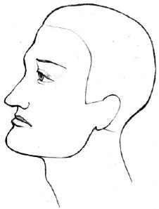 Иллюстрация к книге — Читаем лица. Физиогномика [i_016.jpg]