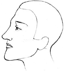 Иллюстрация к книге — Читаем лица. Физиогномика [i_018.jpg]