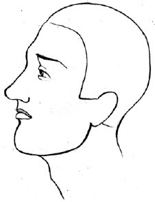 Иллюстрация к книге — Читаем лица. Физиогномика [i_020.jpg]