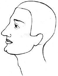 Иллюстрация к книге — Читаем лица. Физиогномика [i_022.jpg]