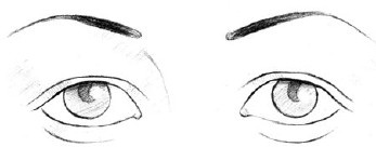 Иллюстрация к книге — Читаем лица. Физиогномика [i_031.jpg]