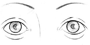 Иллюстрация к книге — Читаем лица. Физиогномика [i_033.jpg]