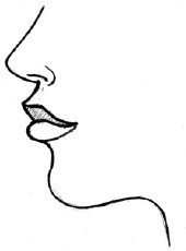 Иллюстрация к книге — Читаем лица. Физиогномика [i_133.jpg]