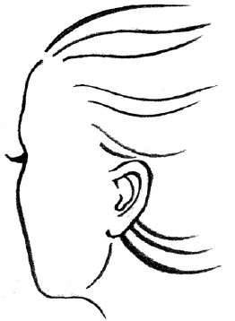 Иллюстрация к книге — Читаем лица. Физиогномика [i_148.jpg]