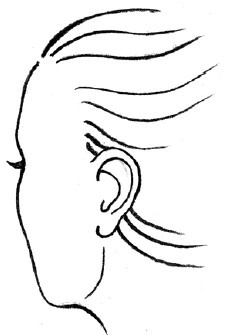 Иллюстрация к книге — Читаем лица. Физиогномика [i_149.jpg]