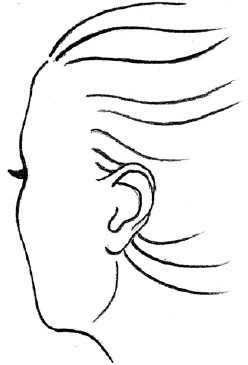 Иллюстрация к книге — Читаем лица. Физиогномика [i_152.jpg]