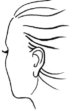 Иллюстрация к книге — Читаем лица. Физиогномика [i_155.jpg]